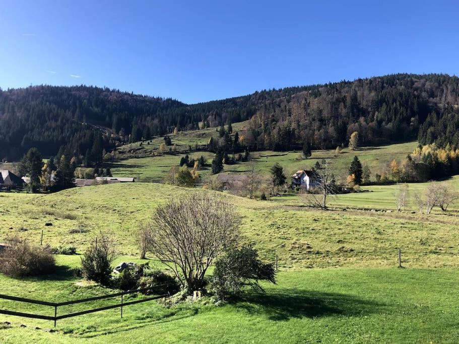 Schwarzwald Loft Menzenschwand Lägenhet Exteriör bild